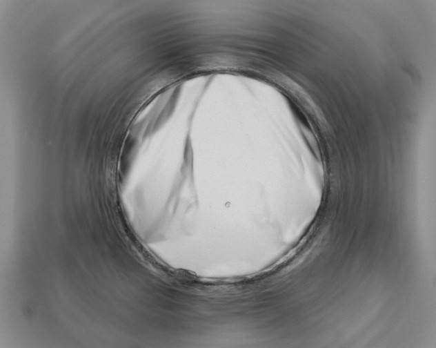 X0000113001337200909241253