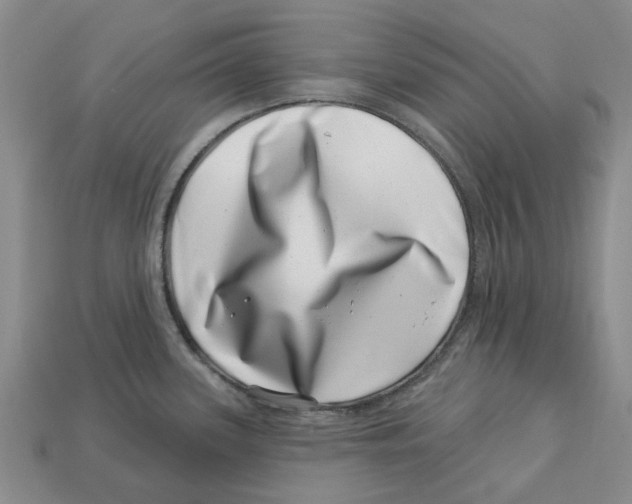 X0000113001339200909241253