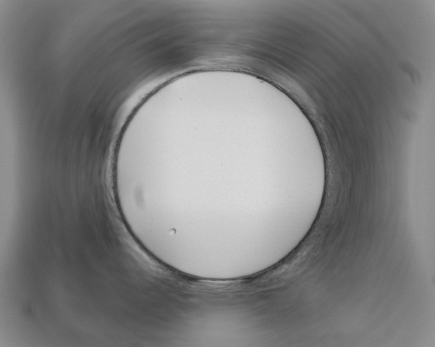 X0000113001344200909241253