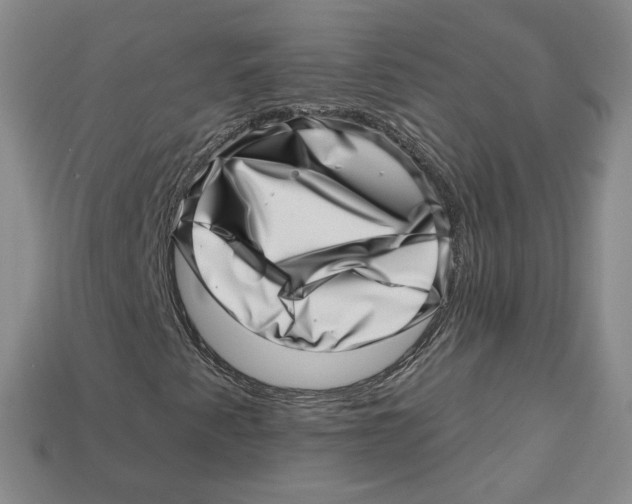 X0000113001345200909241252