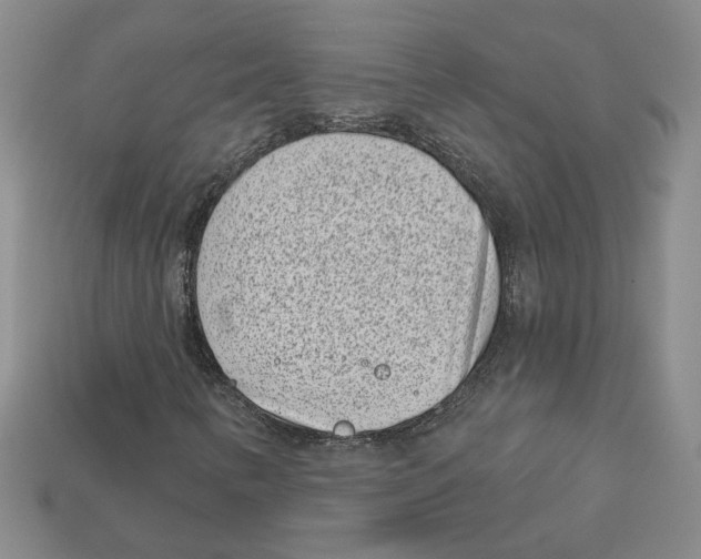 X0000113001346200909241252