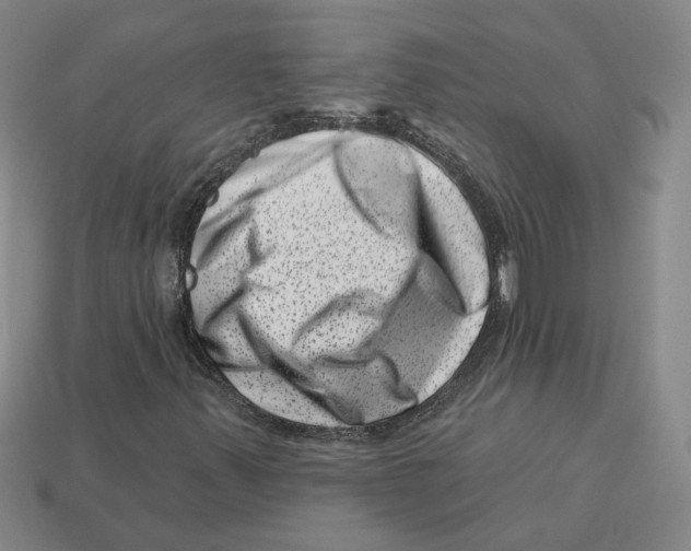 X0000113001347200909241252