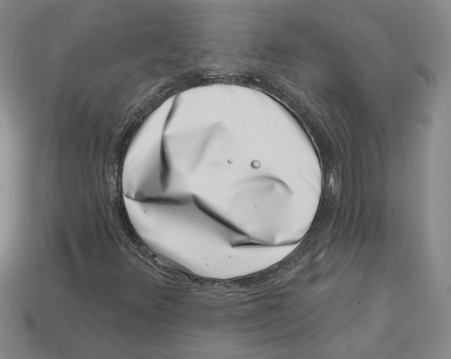 X0000113001348200909241252