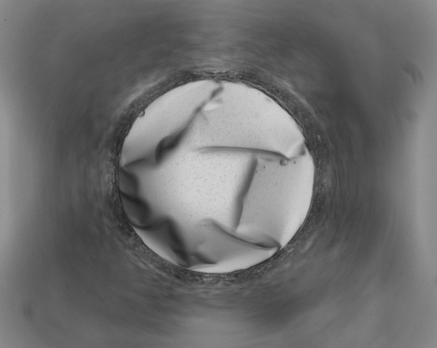 X0000113001350200909241252