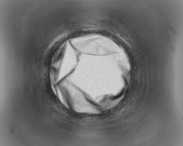 X0000113001351200909241252