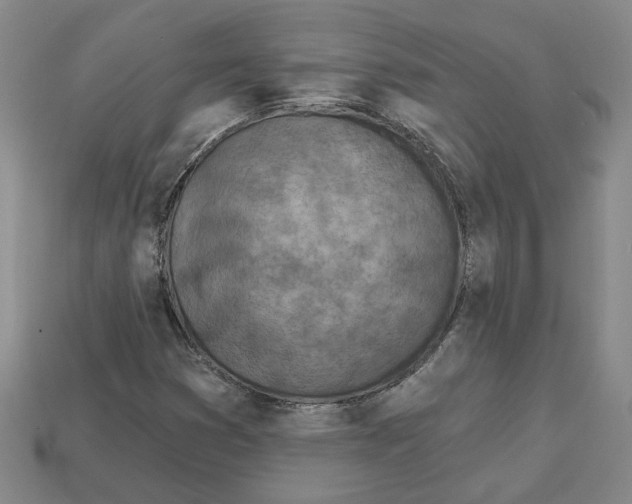 X0000113001353200909241252