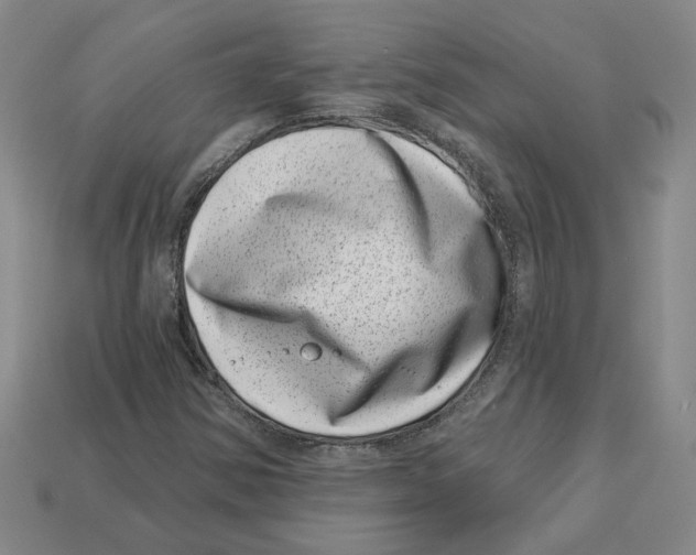 X0000113001354200909241252