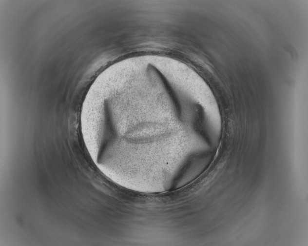 X0000113001355200909241252