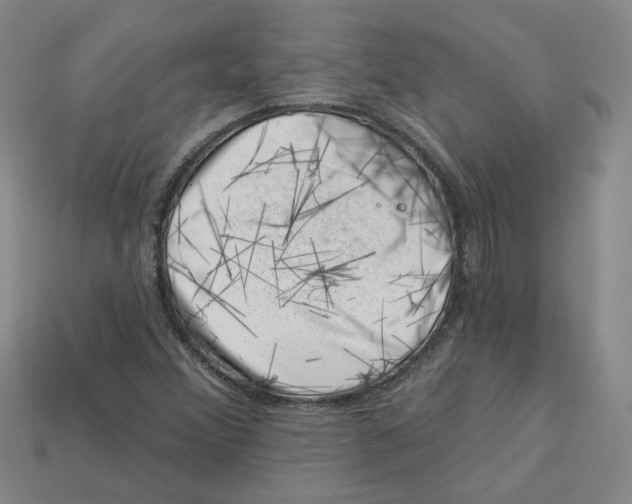 X0000113001356200909241252