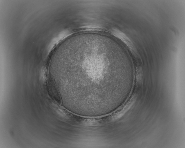 X0000113001357200909241252