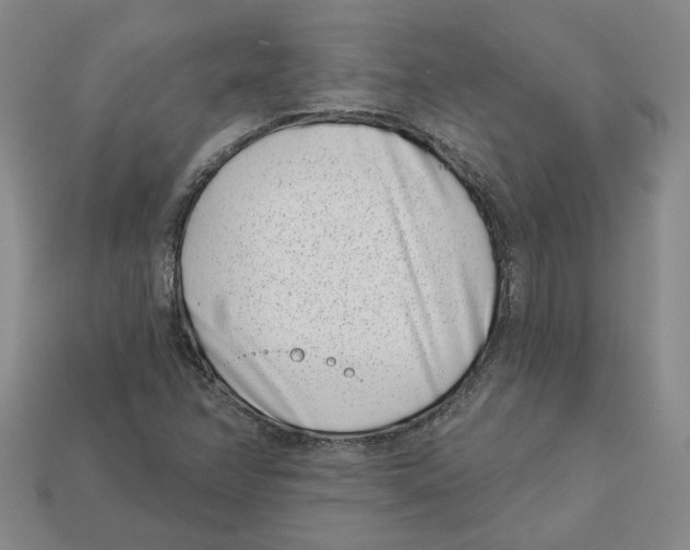 X0000113001358200909241252