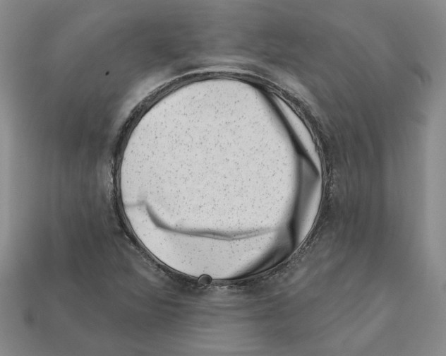 X0000113001360200909241252