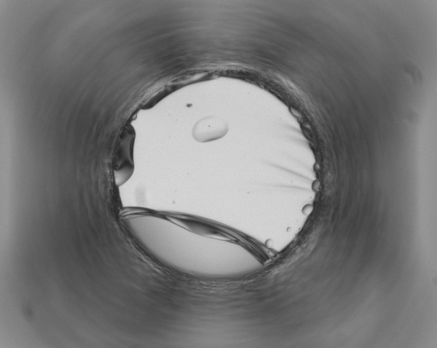 X0000113001361200909241252