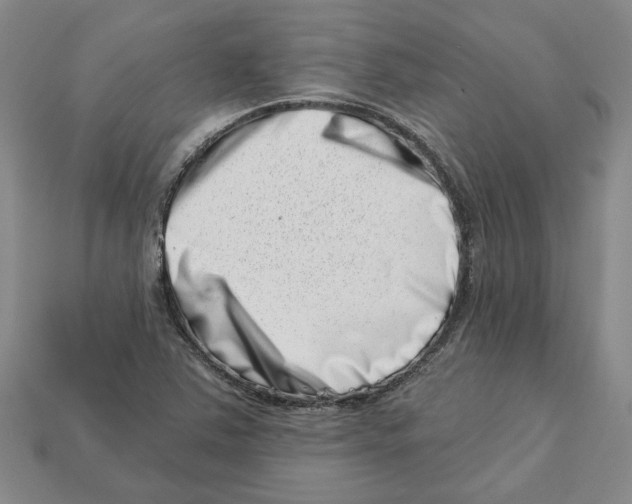 X0000113001363200909241252