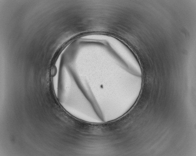 X0000113001364200909241252