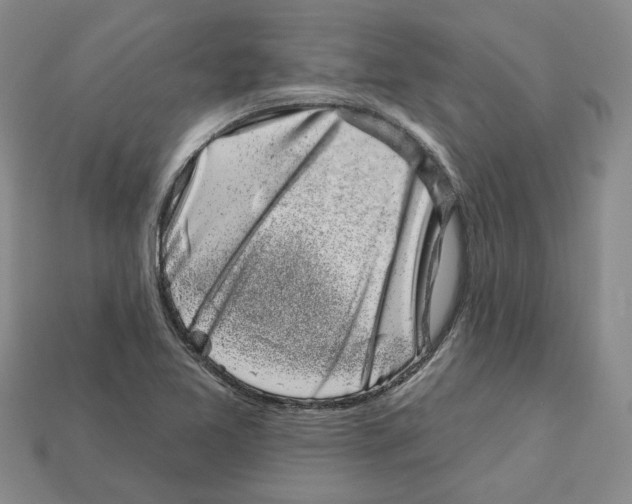 X0000113001365200909241252