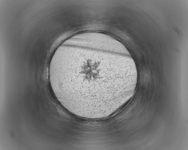 X0000113001366200909241252