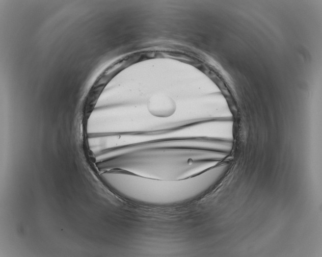 X0000113001368200909241252