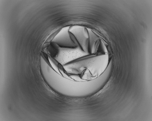 X0000113001369200909241252