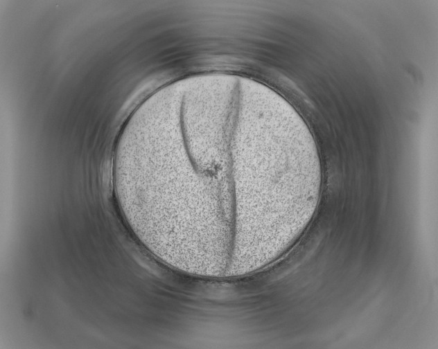 X0000113001370200909241252