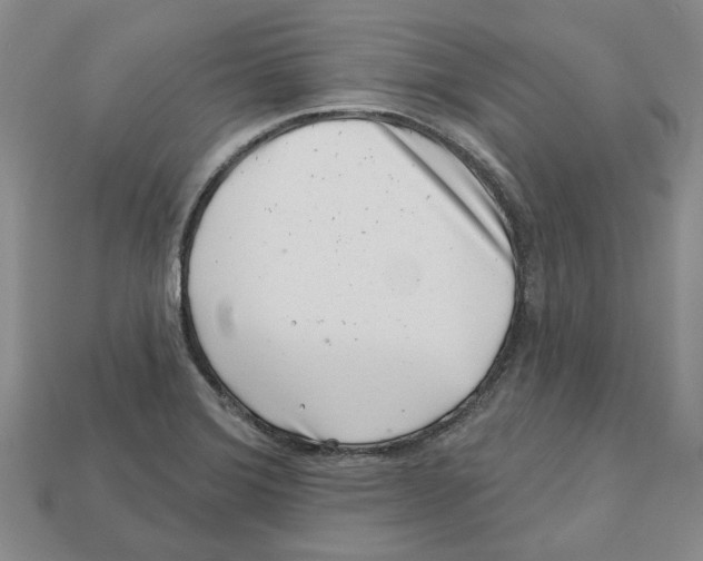 X0000113001372200909241252