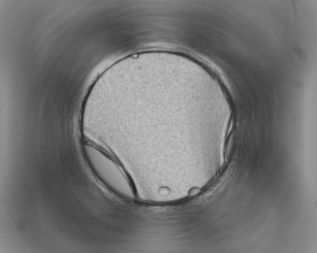 X0000113001373200909241252