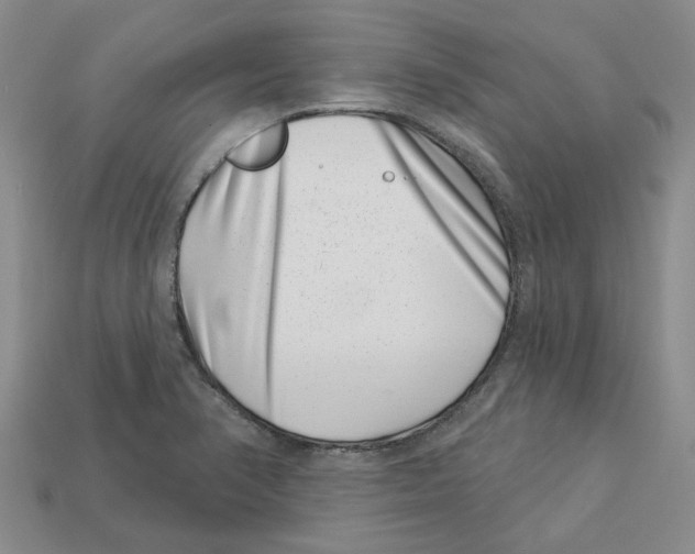 X0000113001374200909241252