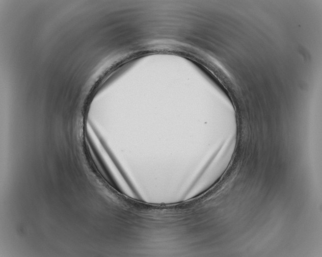 X0000113001376200909241252