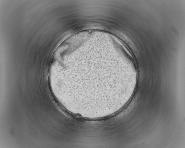 X0000113001377200909241252