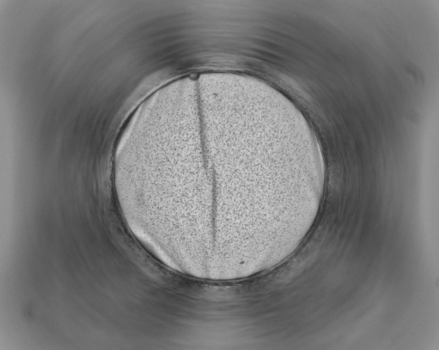 X0000113001378200909241252