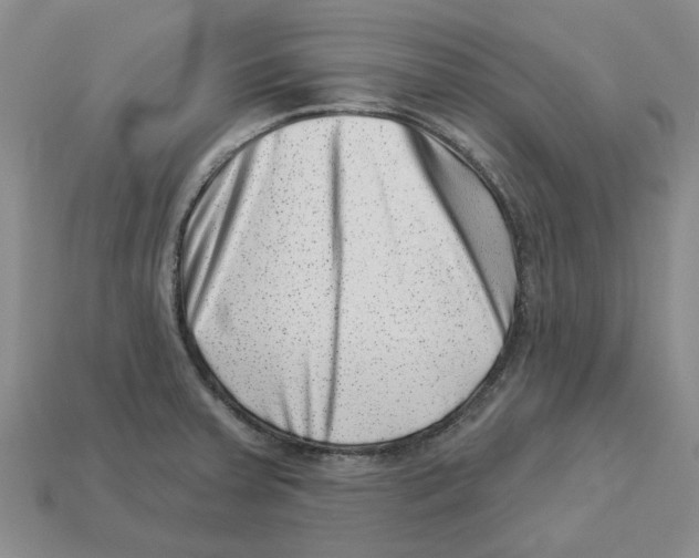 X0000113001379200909241252