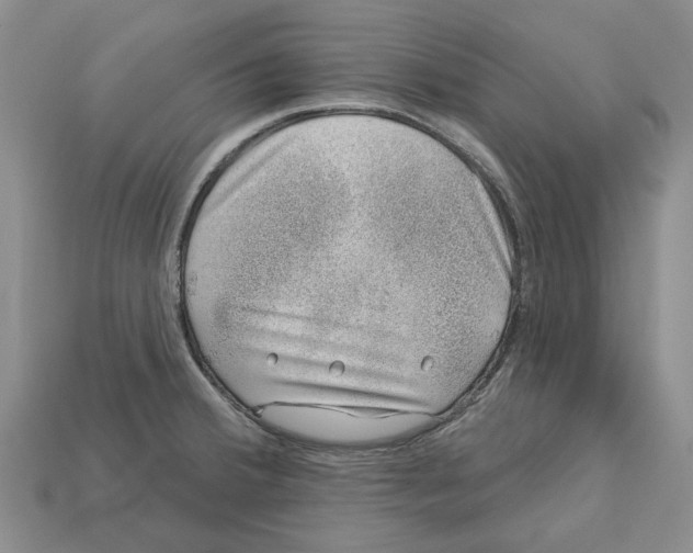 X0000113001380200909241252