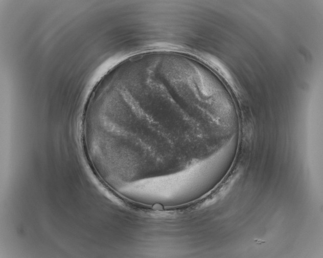 X0000113001381200909241252