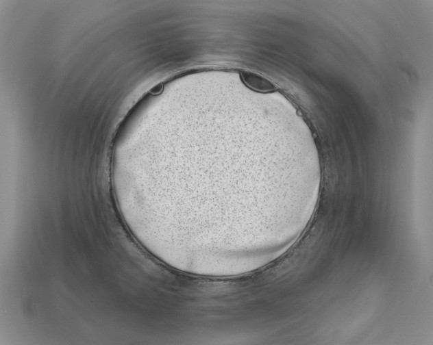 X0000113001382200909241252