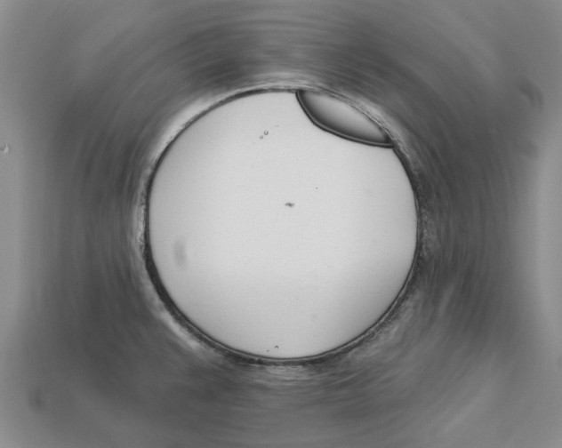 X0000113001383200909241252