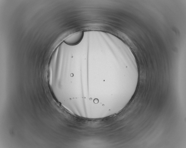 X0000113001386200909241252