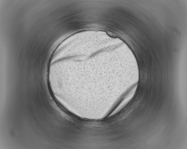 X0000113001387200909241252