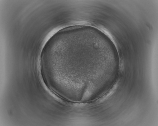 X0000113001389200909241252