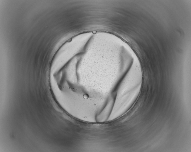 X0000113001390200909241252