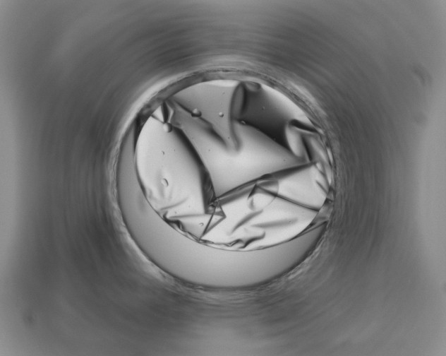 X0000113001392200909241252