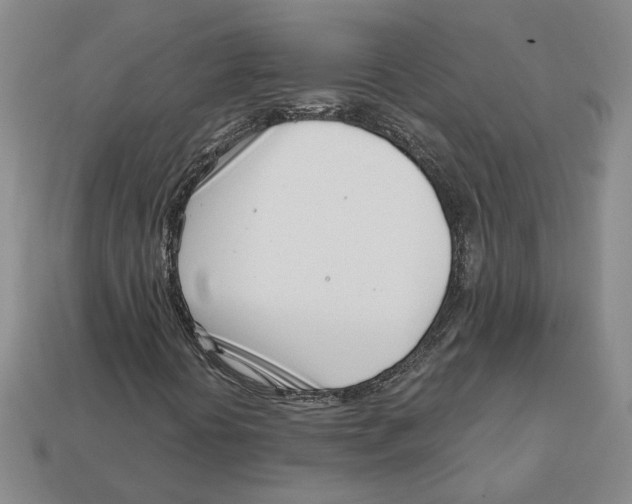 X0000113001394200909241251