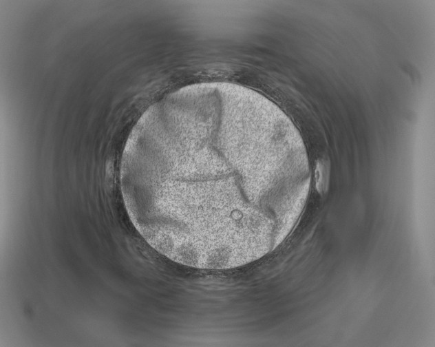 X0000113001395200909241251