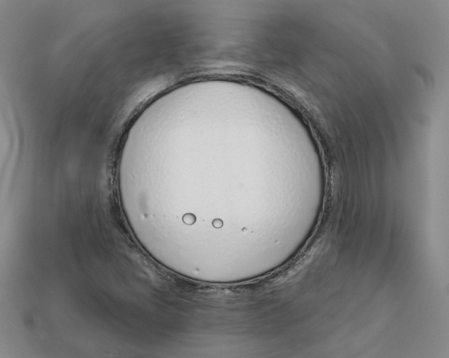 X0000113001405200909241251