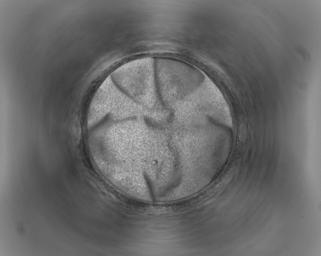 X0000113001407200909241251