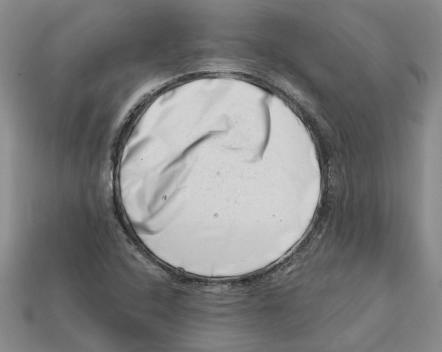 X0000113001408200909241251