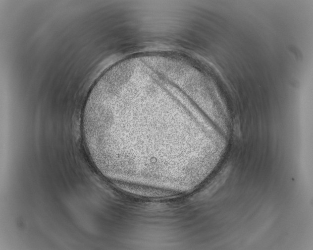 X0000113001409200909241251