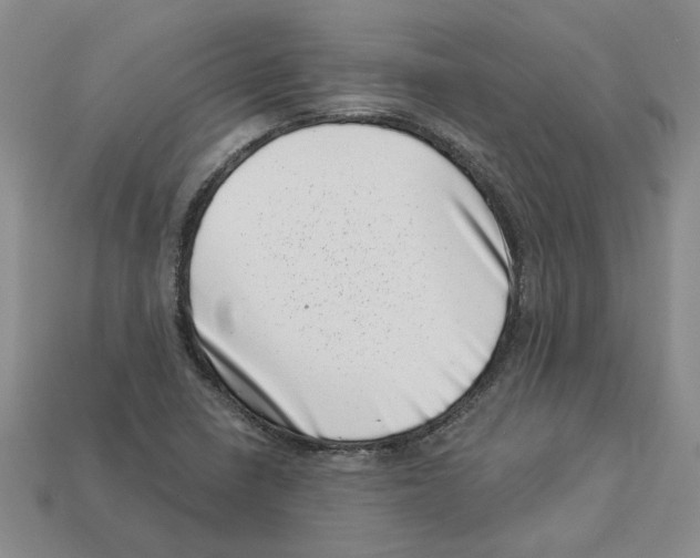 X0000113001410200909241251