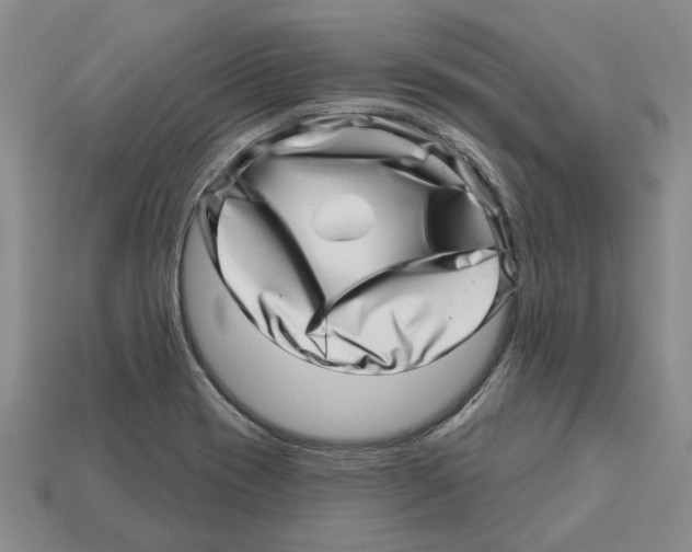 X0000113001417200909241251