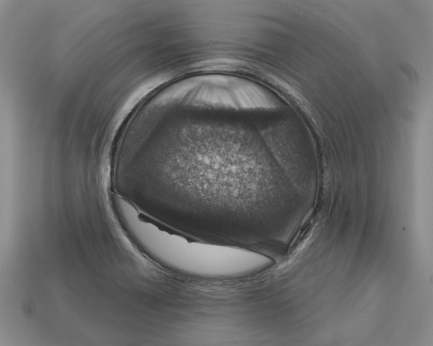 X0000113001418200909241252