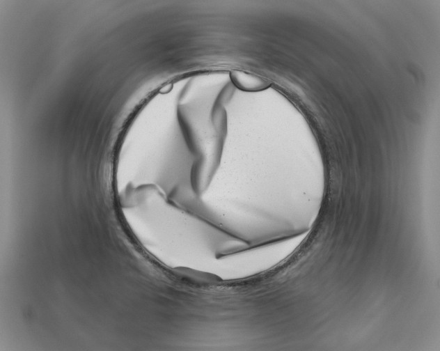 X0000113001424200909241252